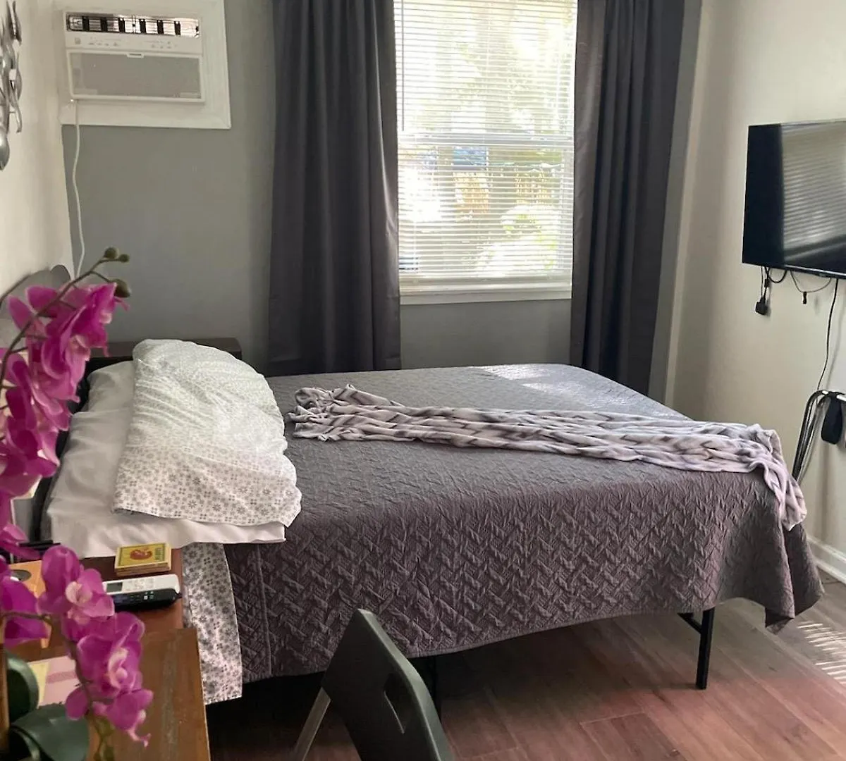 Lovely Studio Apartment With Kitchenette. Tampa